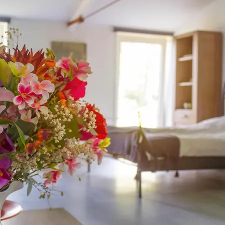 Huisje En B&B Green Cottage Groesbeek